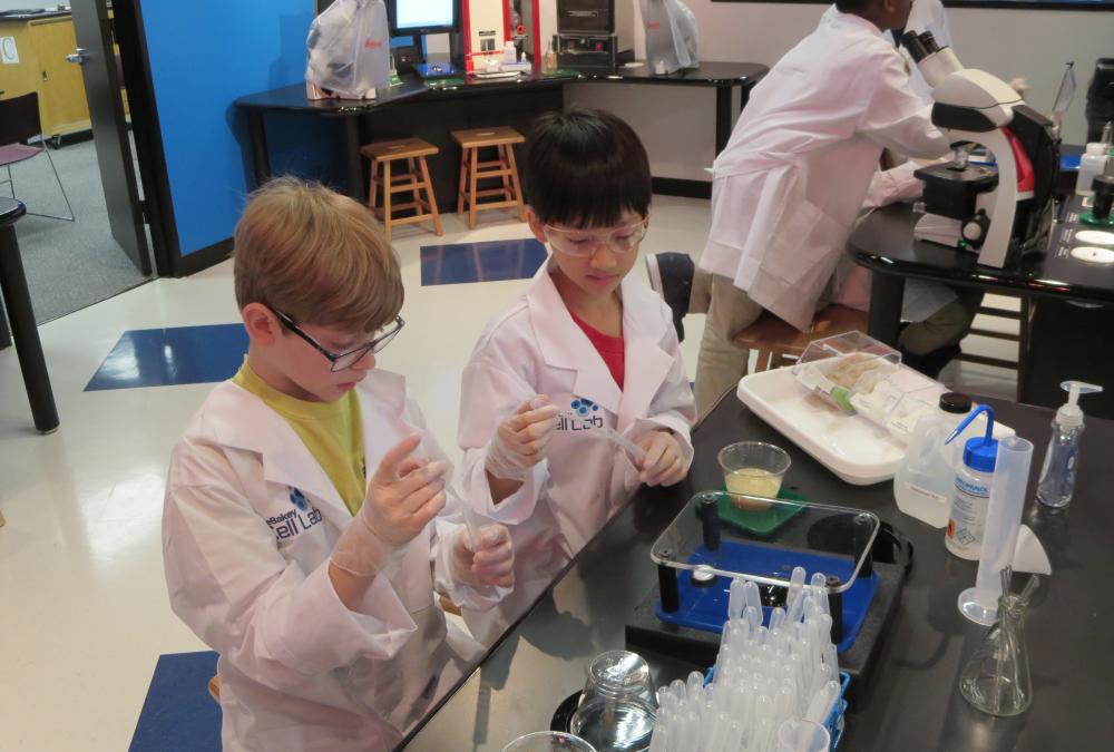 Debakey Cell Lab