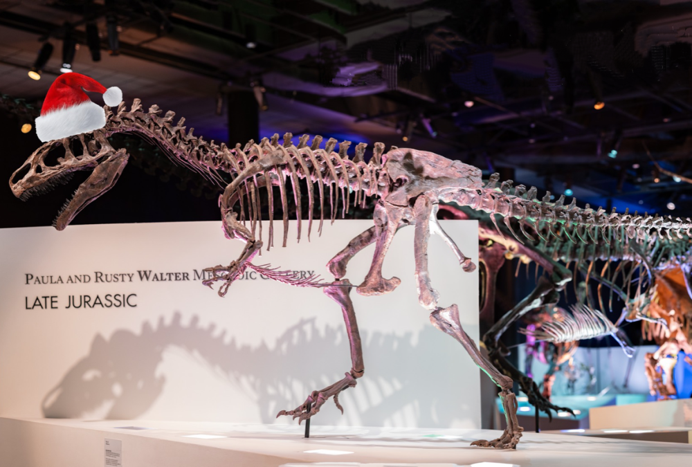 Houston Museum of Natural Science