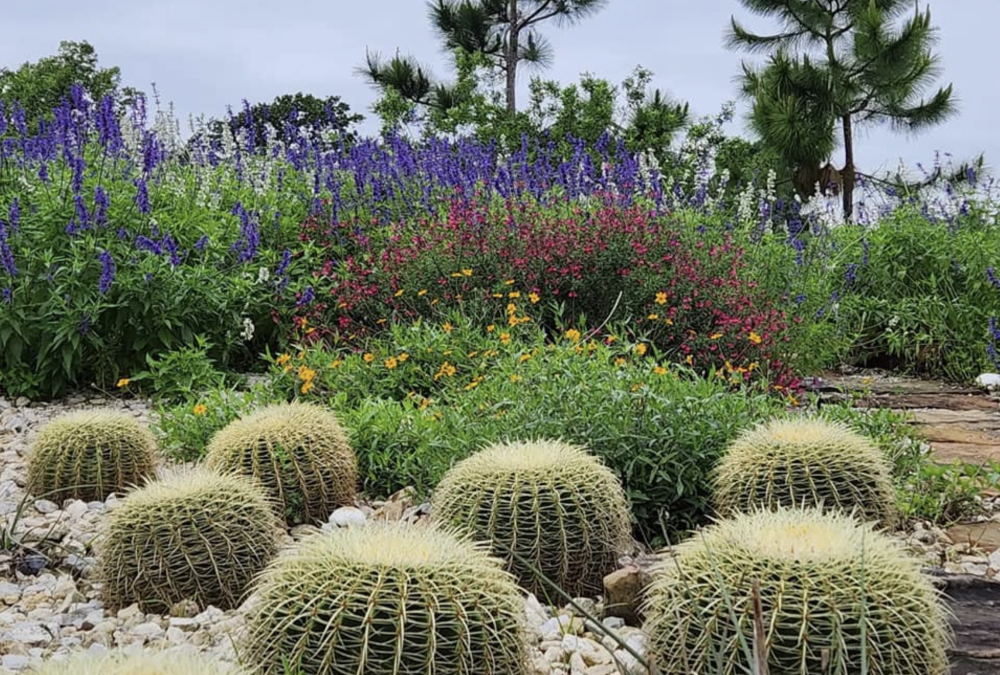 Houston Botanic Garden
