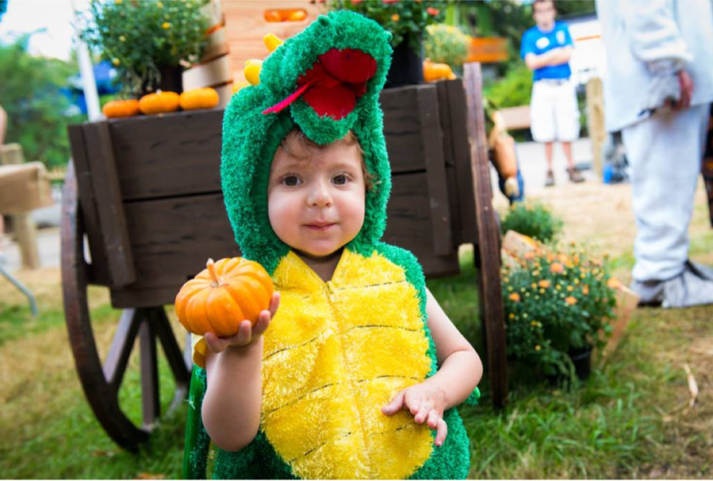Houston Zoo Boo