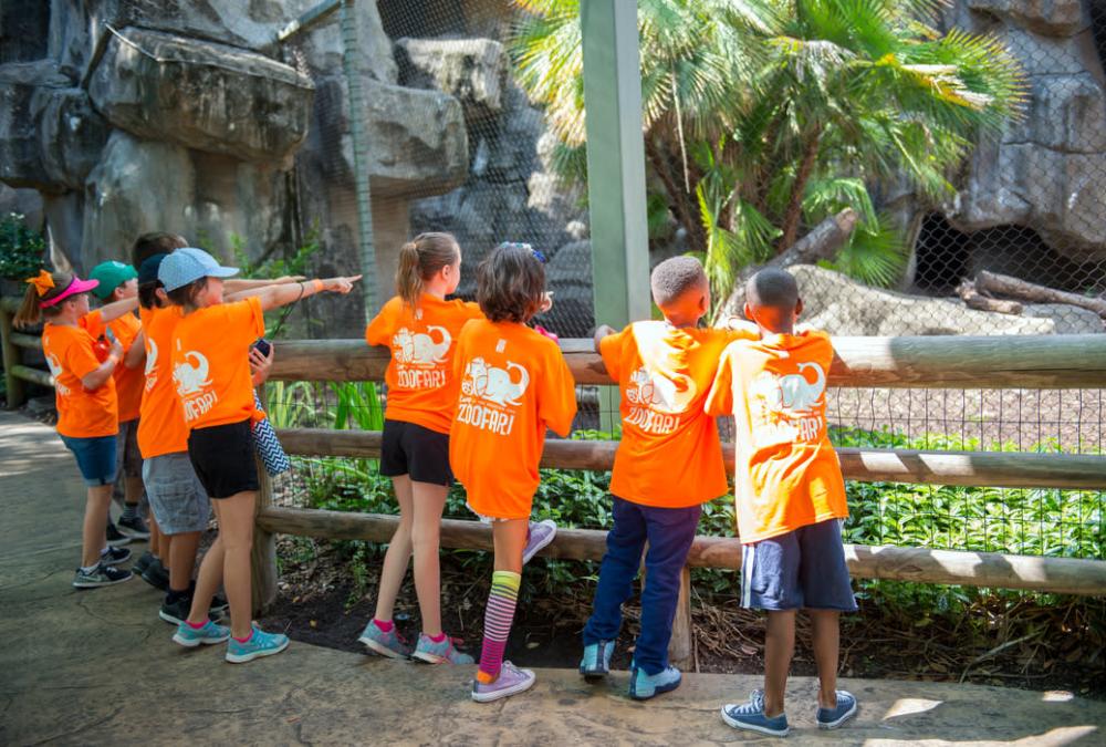 Houston Zoo - Campamento de verano