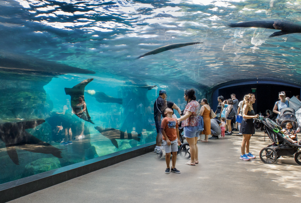 Houston Zoo