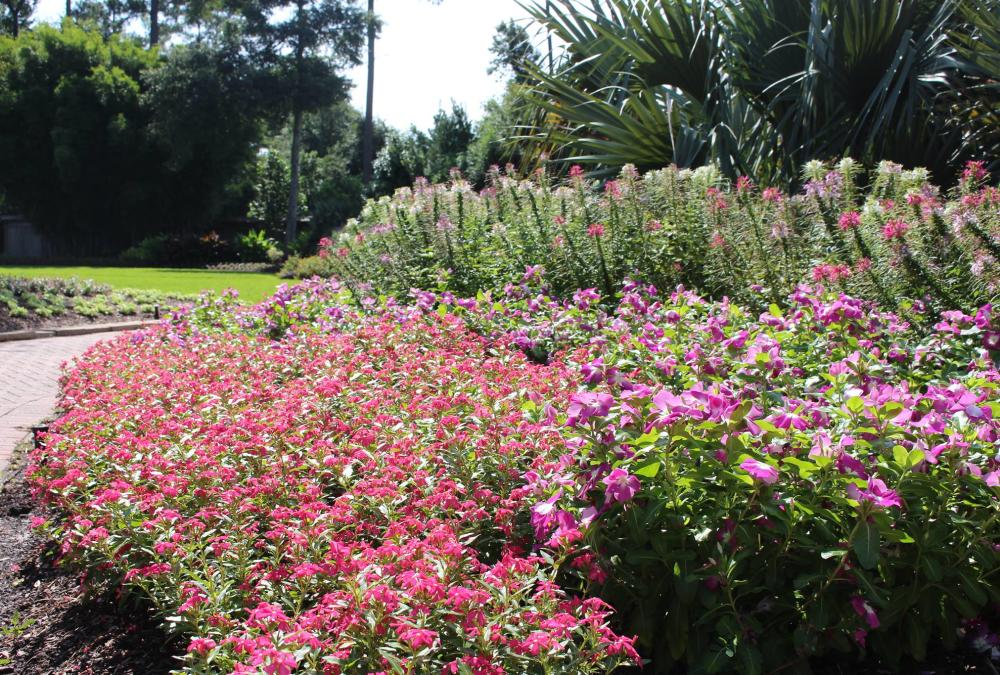 Mercer Arboretum and Botanical Gardens