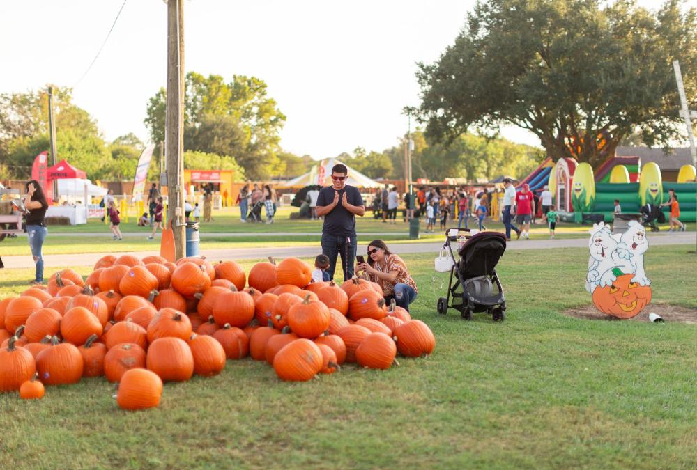 Old Time Christmas Tree Farm