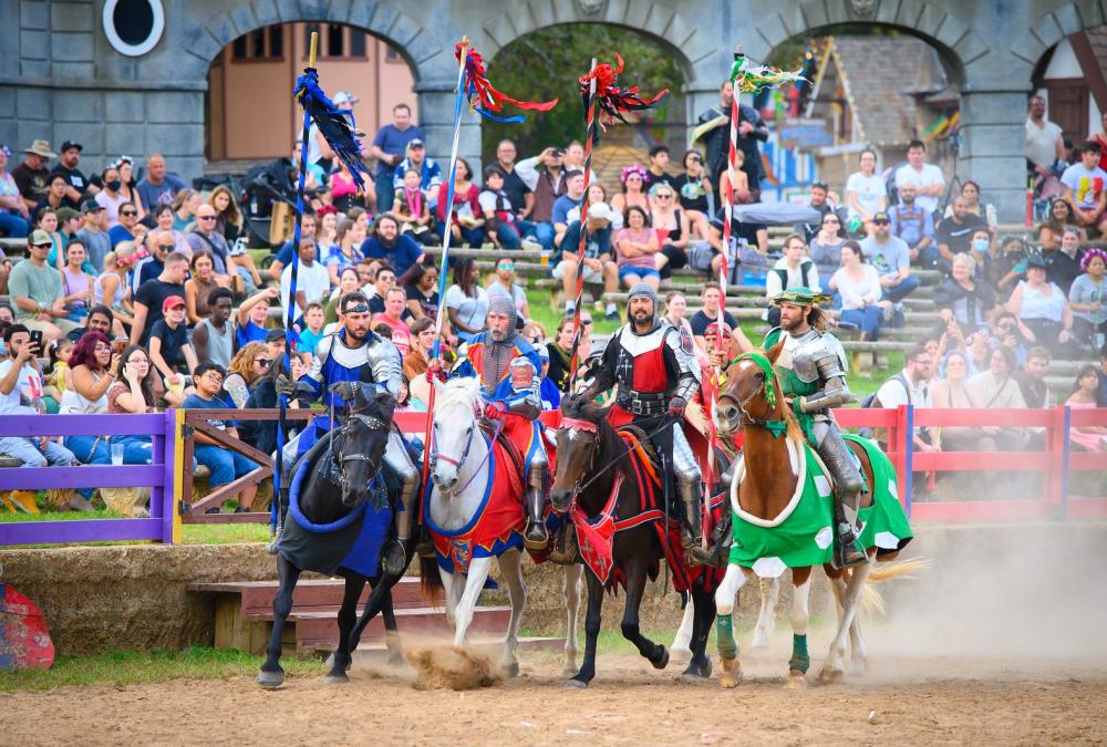Texas Renaissance Festival