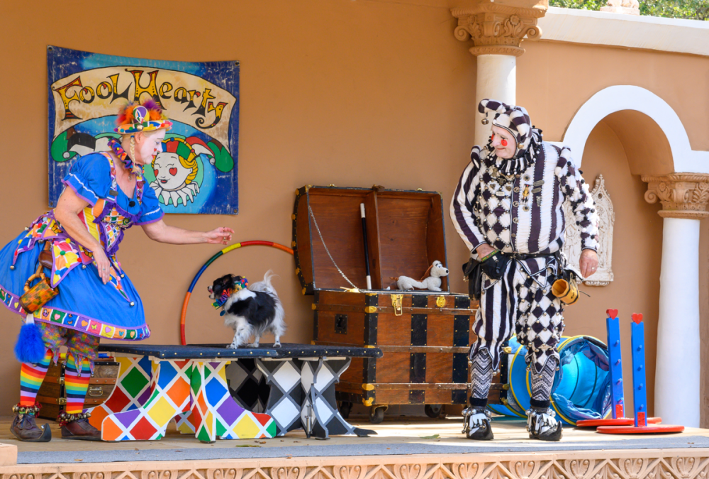 Texas Renaissance Festival