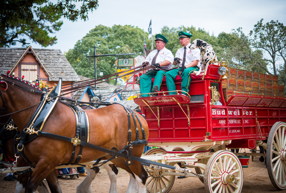 Texas Renaissance Festival