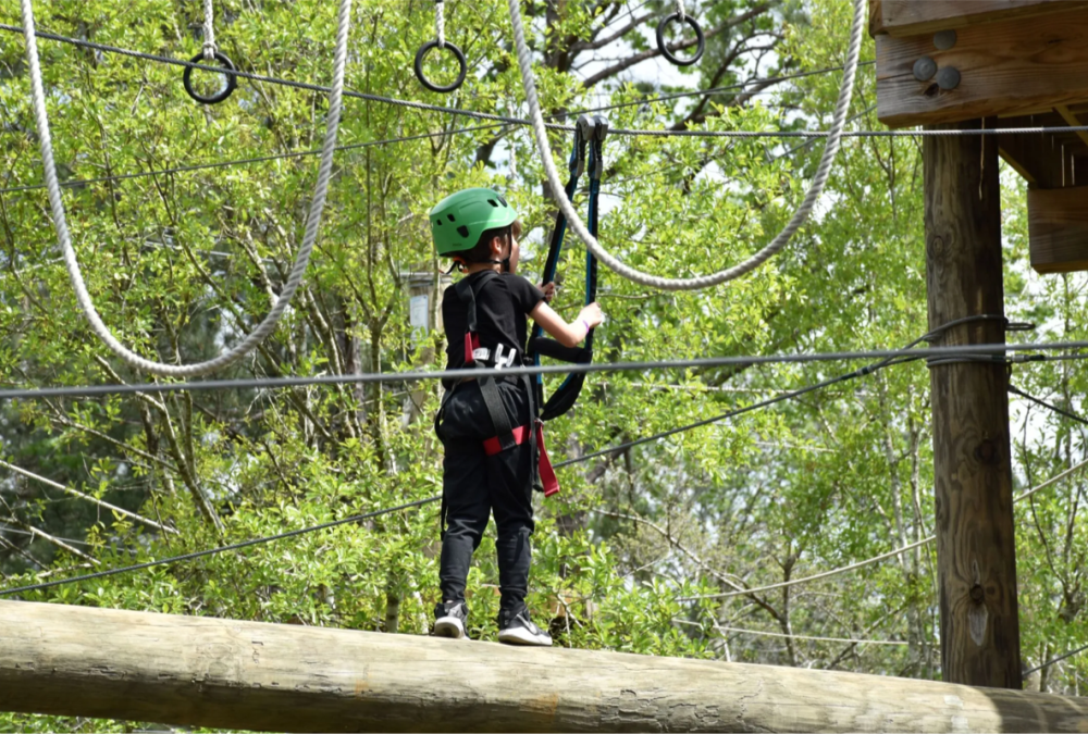 Texas Treeventures