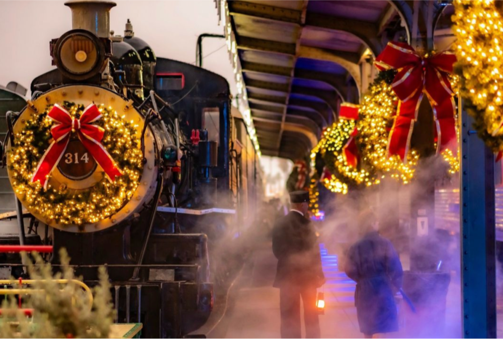 The Polar Express