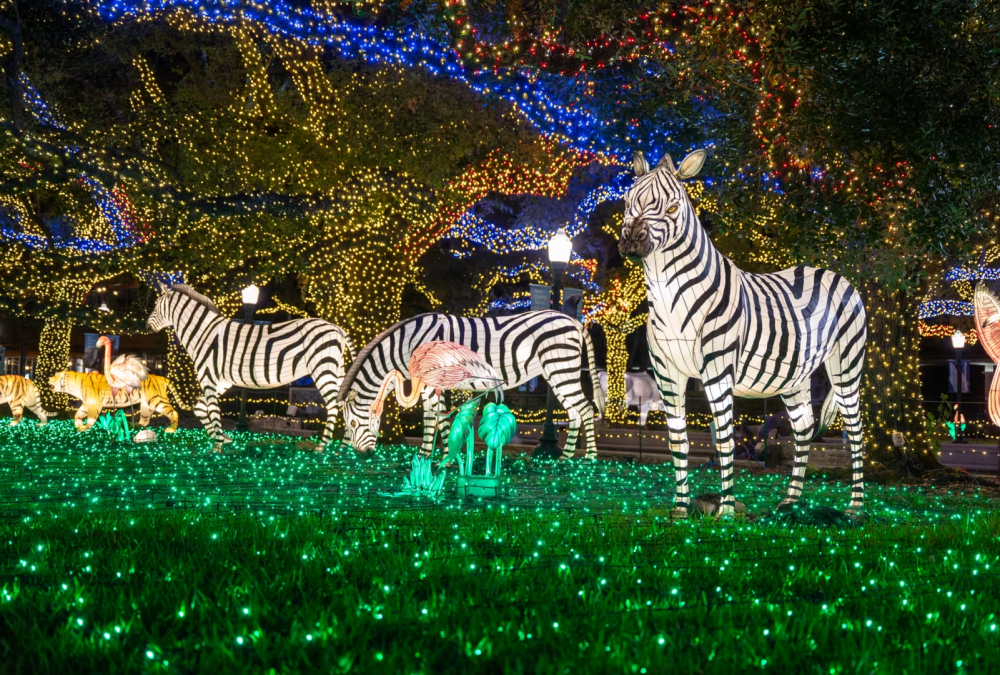 Zoo Lights - Houston