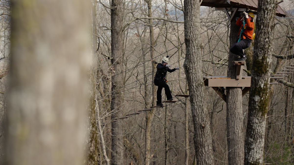 Phoenyx Travels Swinging Bridge
