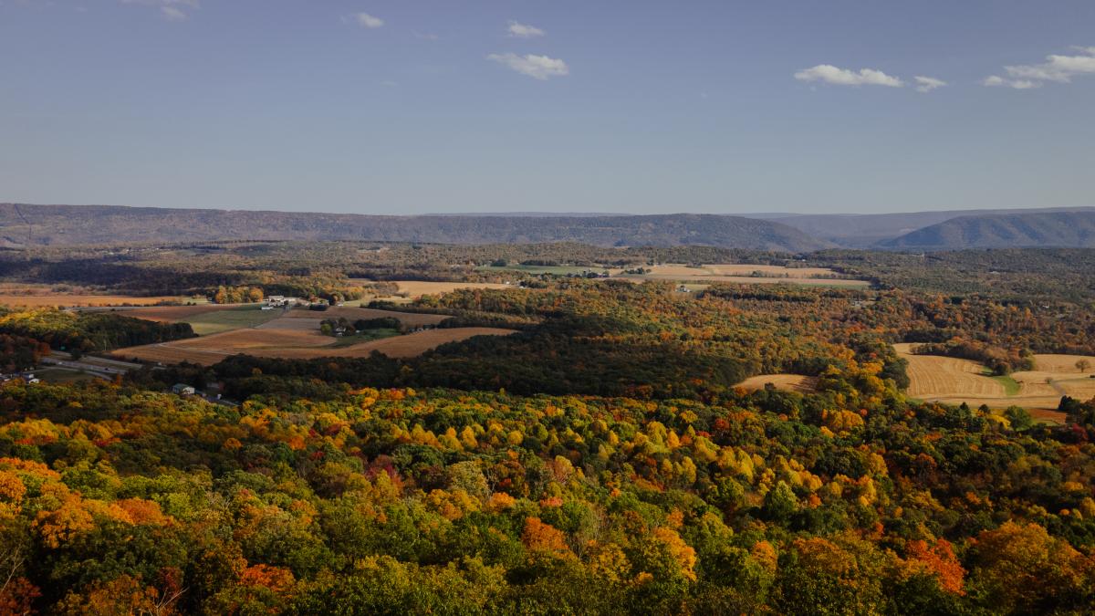 Town Hill Overlook - Little Orleans MD