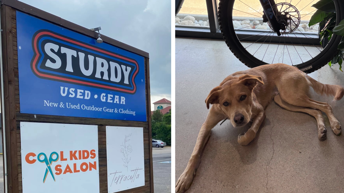 Sturdy Sign and Sonny
