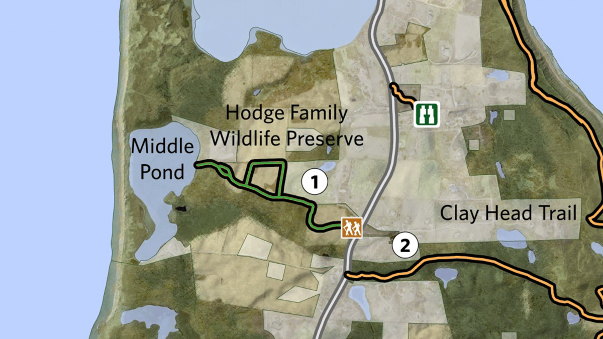 Hodge Map