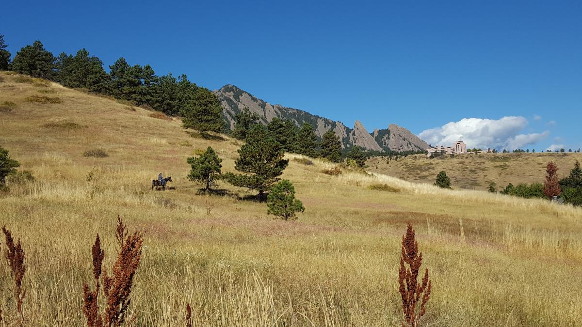 Horseback Riding in Boulder