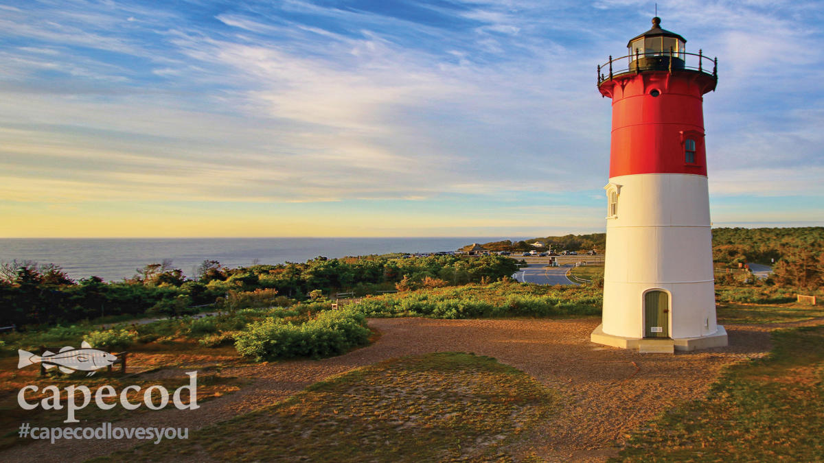 Zoom Background - Nauset Light