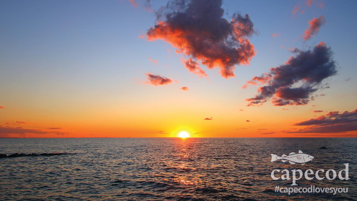Zoom Background - Sunset
