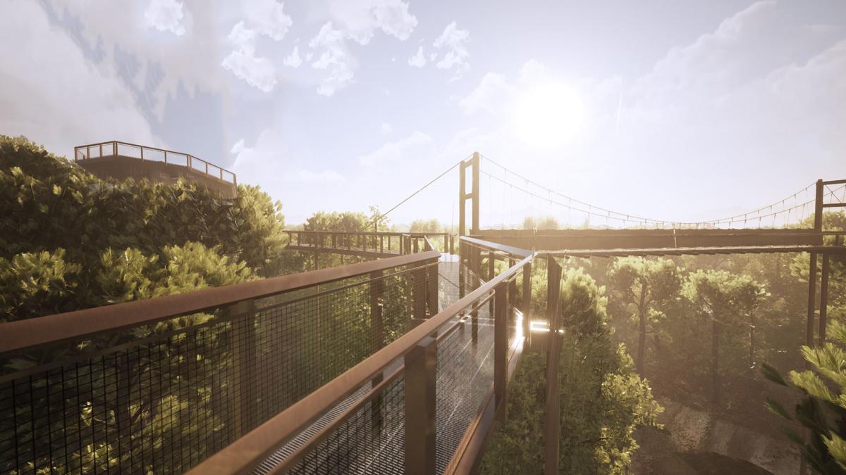 Canopy Rendering Tanglewood