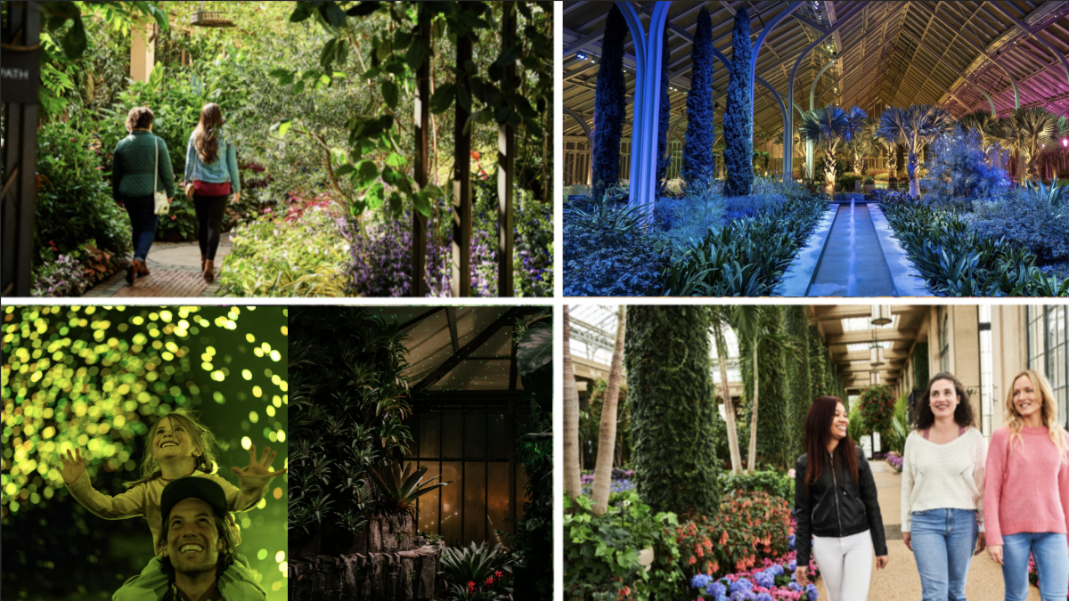 garden glow winter wonder collage