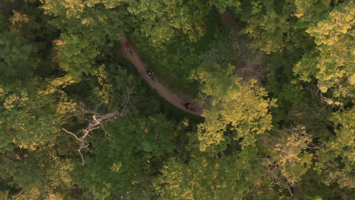 Bird's eye view of a wooded trail in Devou Park with bicyclists riding through it