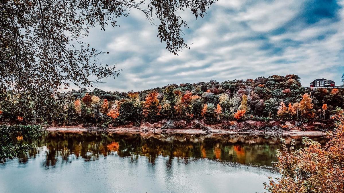 fall foliage along the river