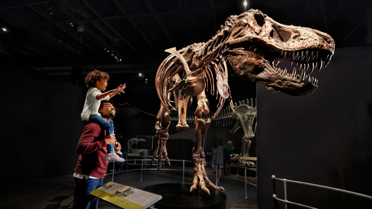 American Museum of Natural History Dinosaur Gallery at COSI