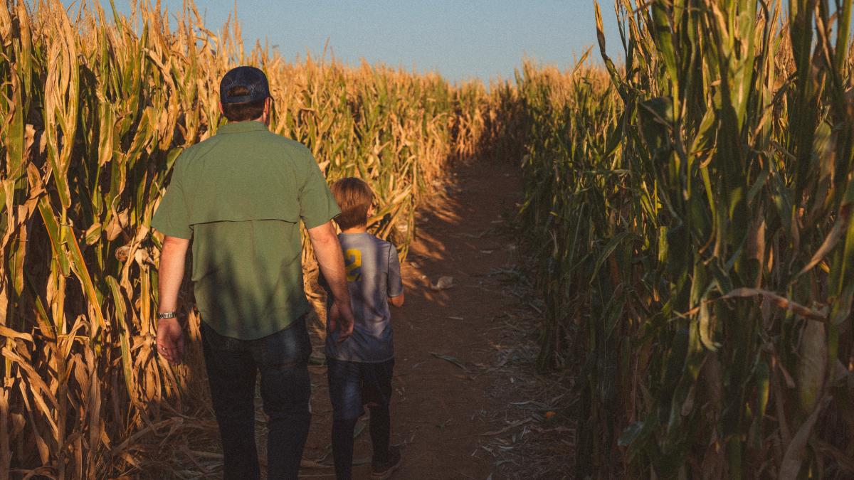 Corn Maze Unsplash