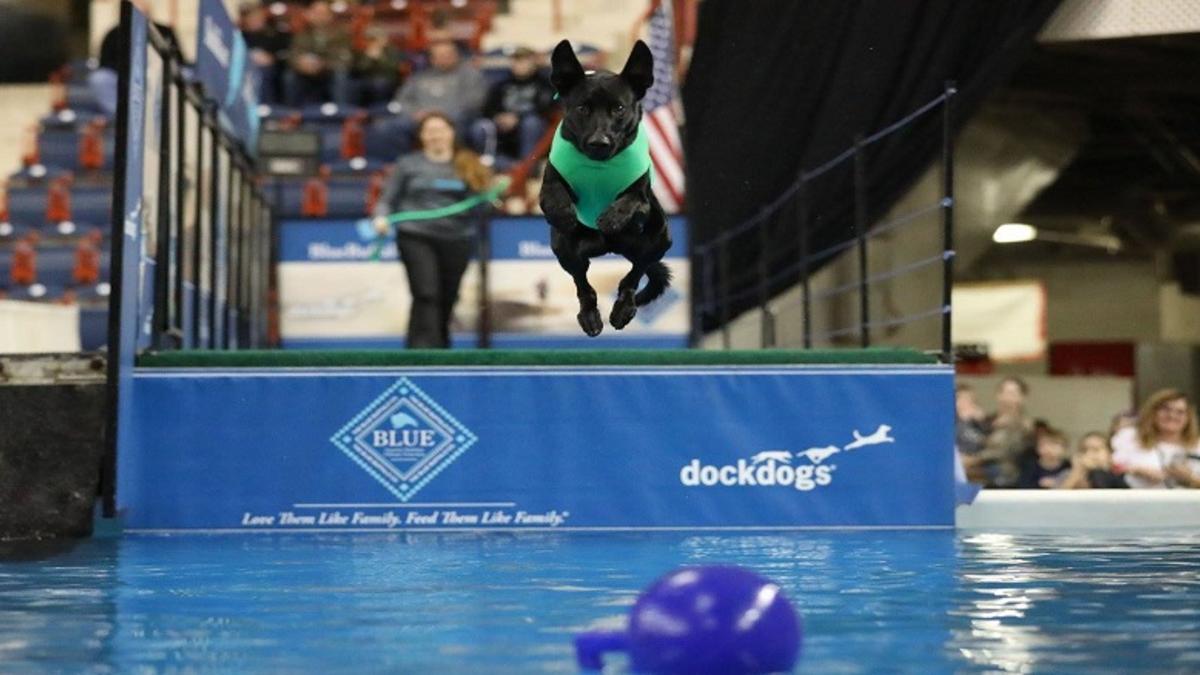 Great American Outdoor Show