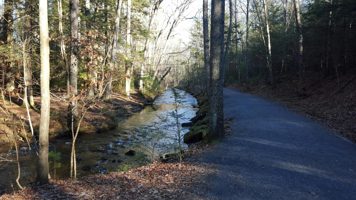 Creek In Mountain Creek Trail In The Cumberland Valley