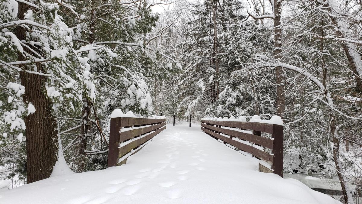 Pine Grove Furnace Winter