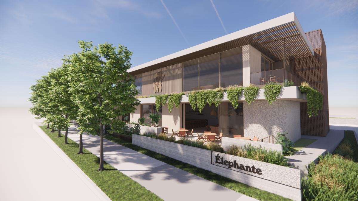 Élephante Dallas Rendering