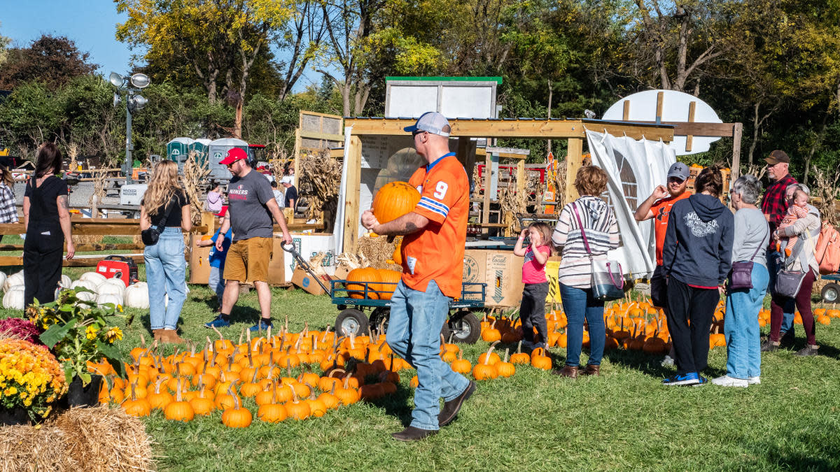 Guests pick pumpkins at Valley Fruits & Veggies in Bethlehem