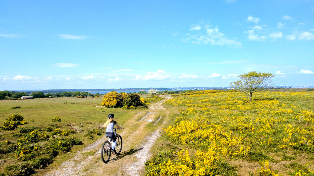 A woman cycling along a track in Purbeck