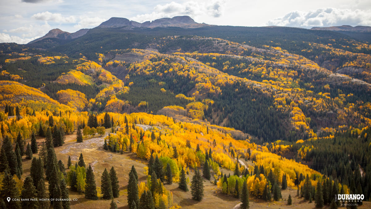 Coal Bank Pass, North of Durango, CO