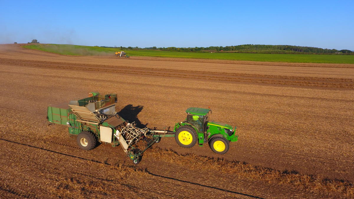 The farming field at Chippewa Valley Bean Company