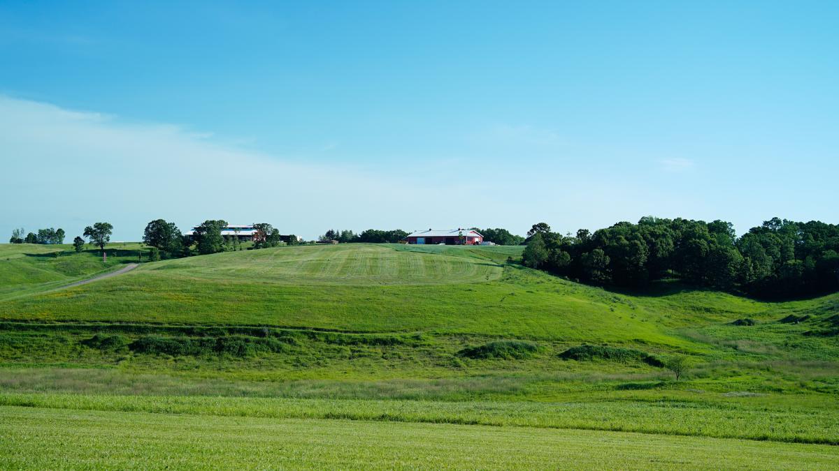 The farm of Superior Fresh