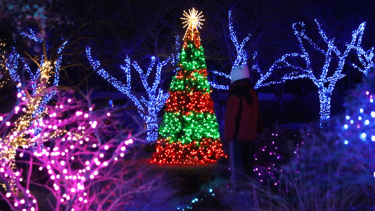 Winter Walk of Lights - Light Show in Fairfax County, VA