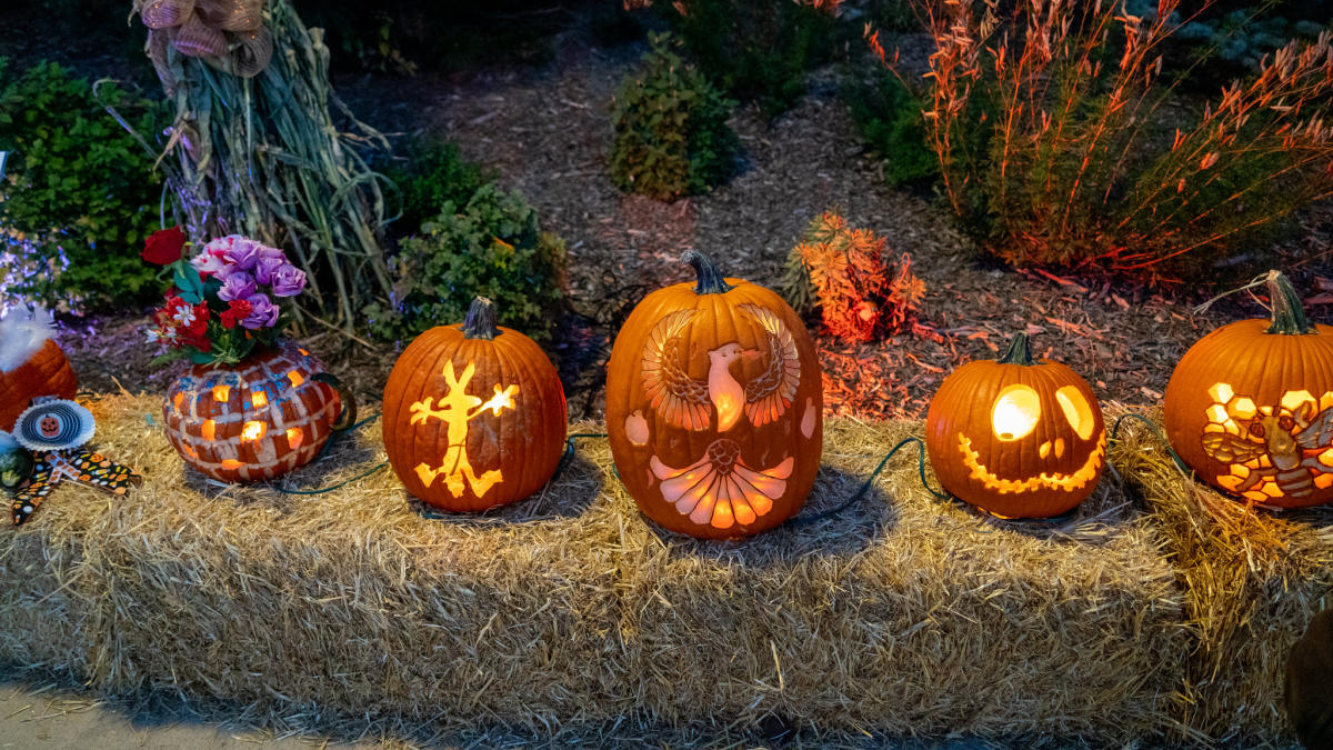 Pumpkins on Parade