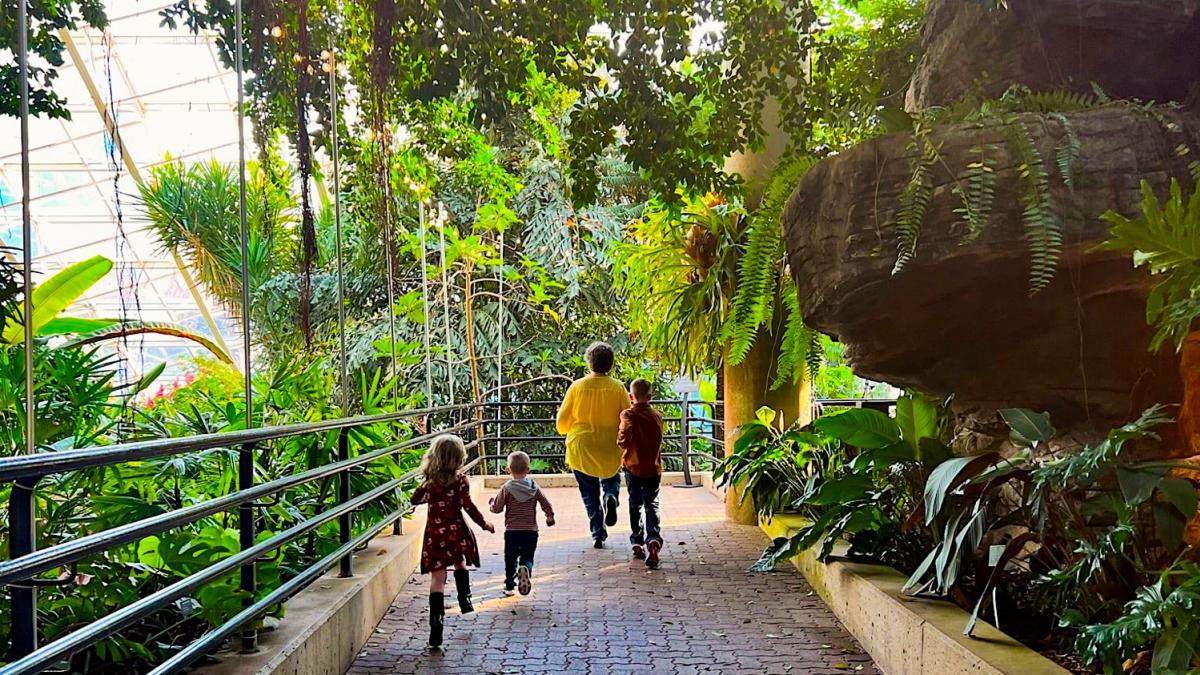 Family walking through the tropical showcase at the Botanical Conservatory