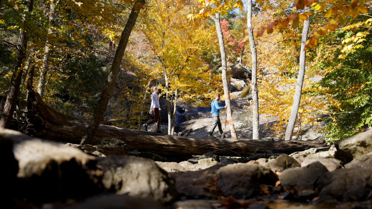 Cunningham Falls State Park in the fall with leaves