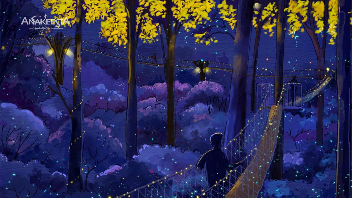 Anakeesta Firefly experience