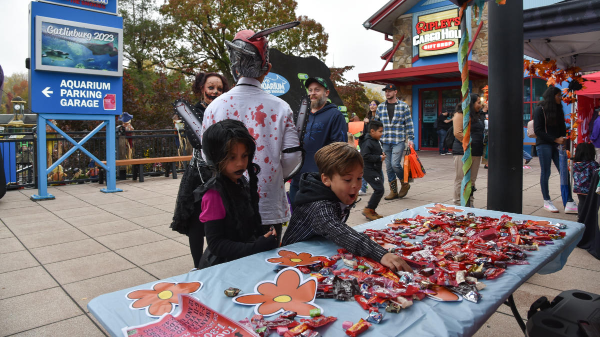 Ripley's trick or treat halloween event