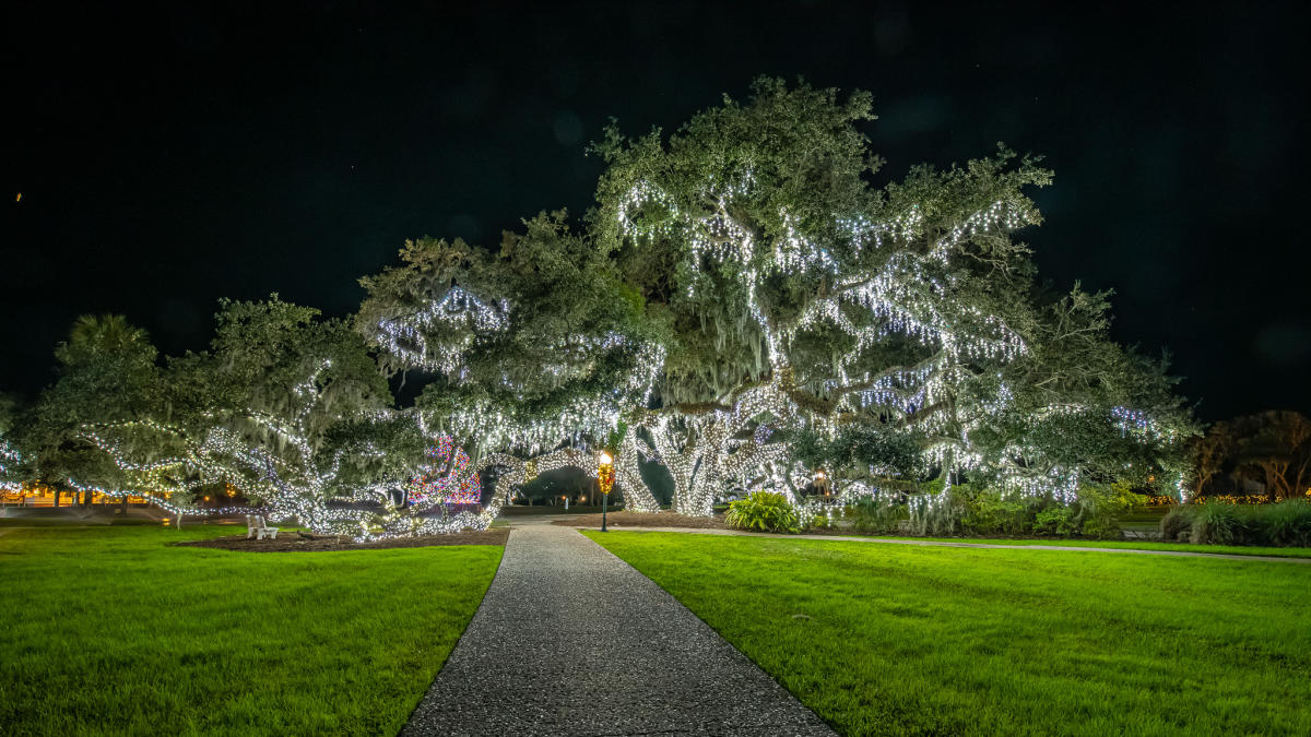 Lighted Tree at Holly Jolly Jekyll