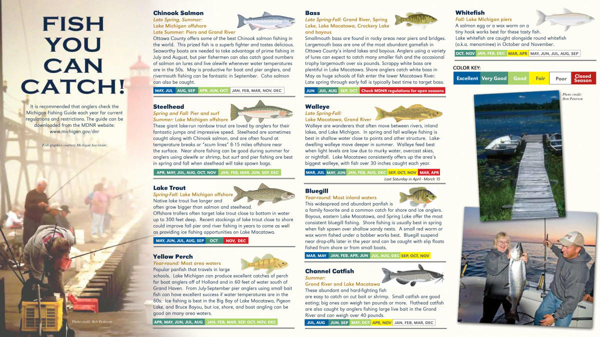 Fishing Types Image