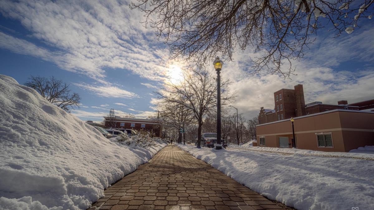 Snowmelt View