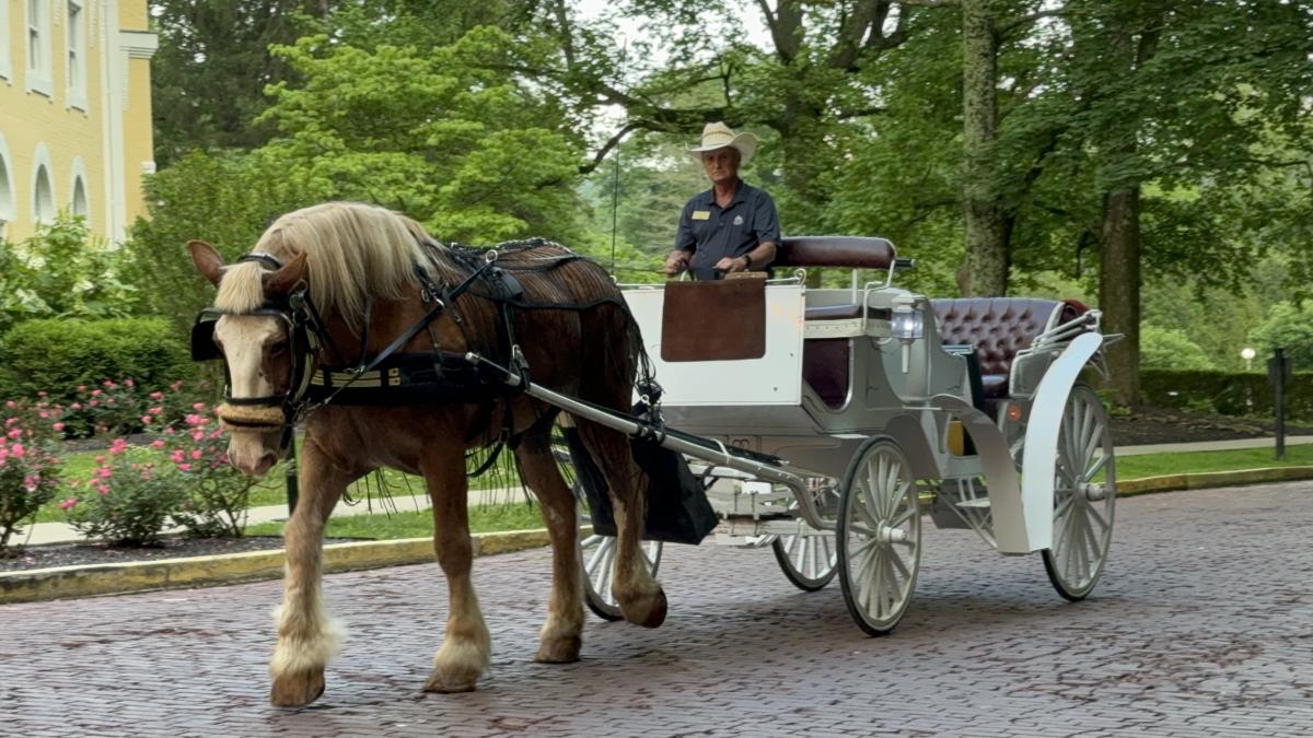 West Baden Horse Carriage