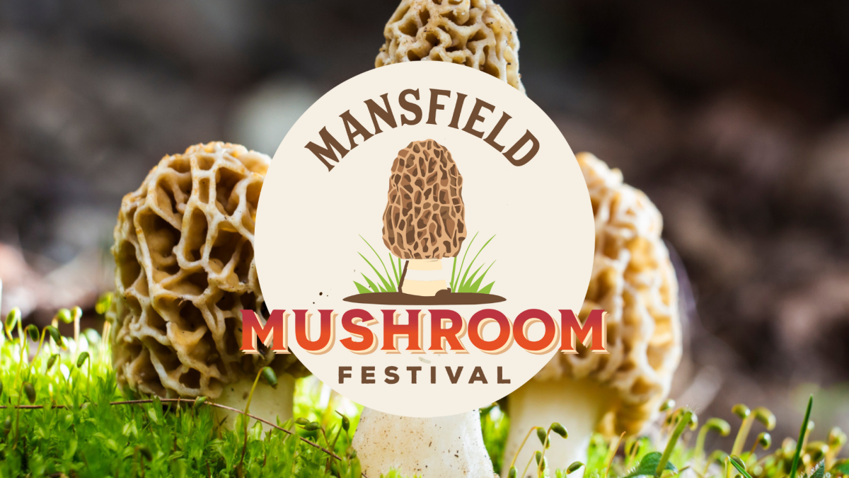Mansfield Village Mushroom Festival