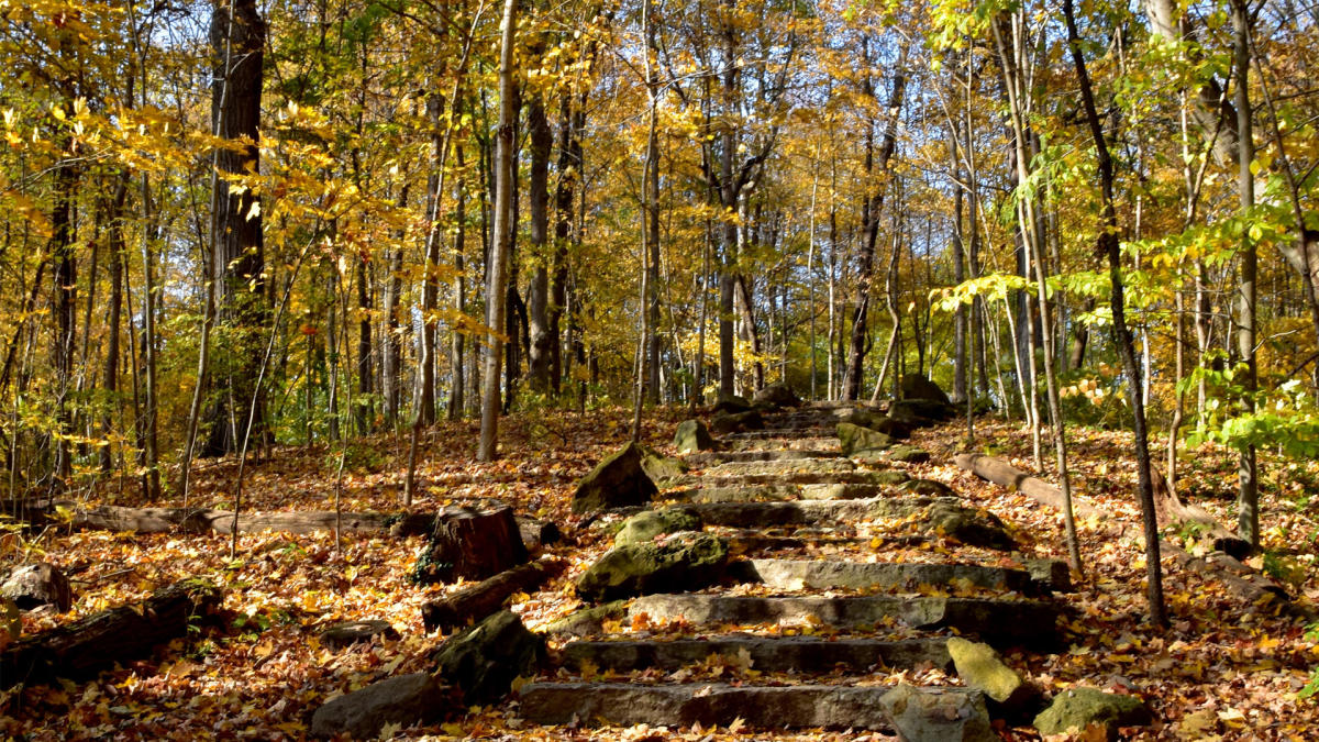 Holliday Park