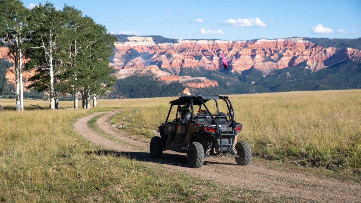 ATV Ride Through Dixie National Forest