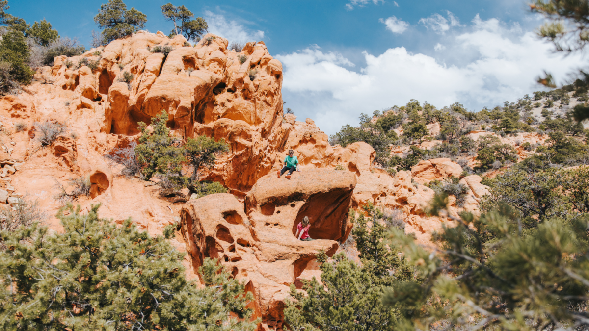 Thunderbird Gardens | Thor's Hideout